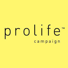 Pro Life Campaign- workshop series